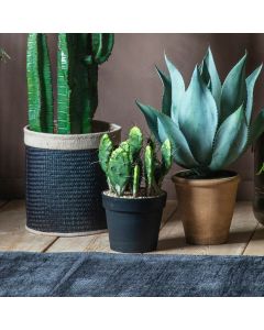 Cactus Optunia in Pot H.40cm