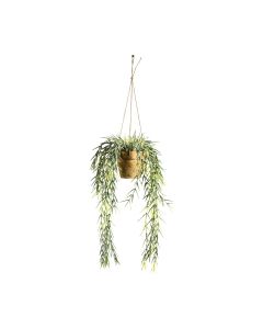 Hanging Willow in Earthenware Style Pot H.70cm