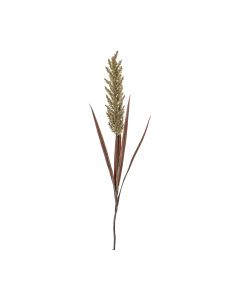 Pampas Spray Wheat/Russet H.122cm