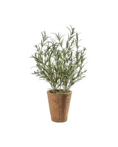 Faux Olive Plant in Clay Pot H.48cm