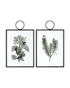 Botanical Florals I Hanging Art Set of 2