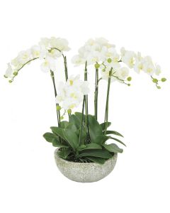 Artificial Orchid Potted White H61cm