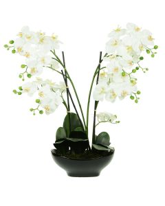Artificial Phalaenopsis in Black Pot White Height 67cm