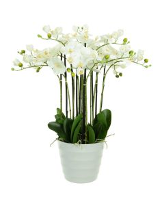 Artificial Phalaenopsis x 12 in Plastic Pot White H.75cm