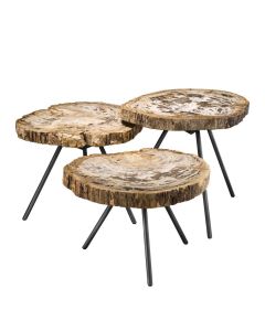 Eichholtz Coffee Table De Soto Set of 3 - Light Wood