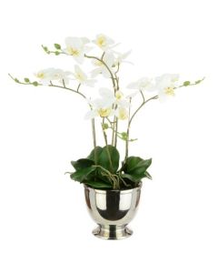 Artificial Phalaenopsis Orchid x 5 in Silver Pot H64cm