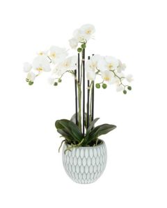 Artificial Phalaenopsis Orchid x 6 in Geo Pot H62cm
