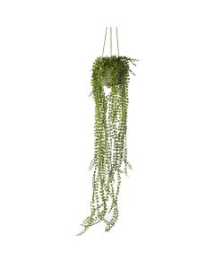 Potted Hanging Pearl Spray Green H.76cm