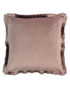 Isla Blush Velvet Fringed Cushion Set of 2