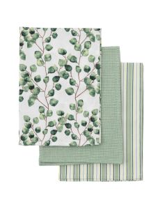 Eucalyptus Cotton Tea Towels Set of 3