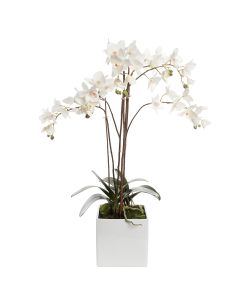 Artificial Phalaenopsis