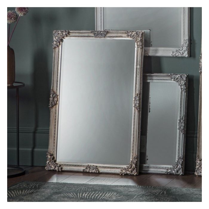 Pavilion Chic Toulouse French Style Ornate Mirror - Champagne 1