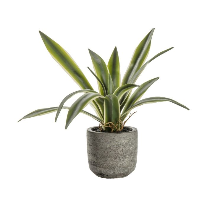 Pavilion Chic Artificial Potted Agave w/Roots H.18cm 1