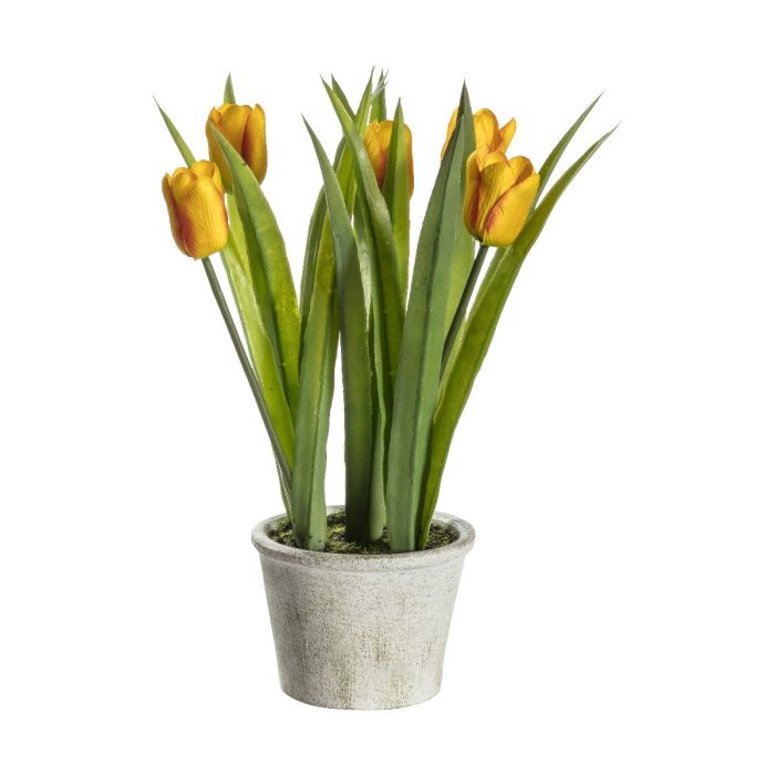 Pavilion Chic Artificial Potted Tulips Red Stripe H.30cm 1