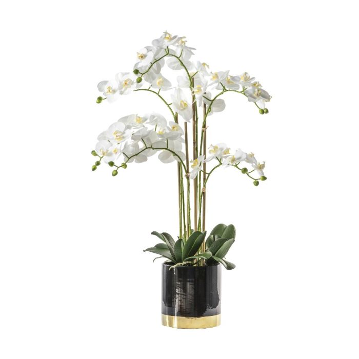 Pavilion Chic Artificial Orchid White in Black Gold Pot H.80cm 1