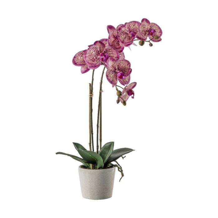 Pavilion Chic Artificial Orchid Pink in Ceramic Pot H.50cm 1