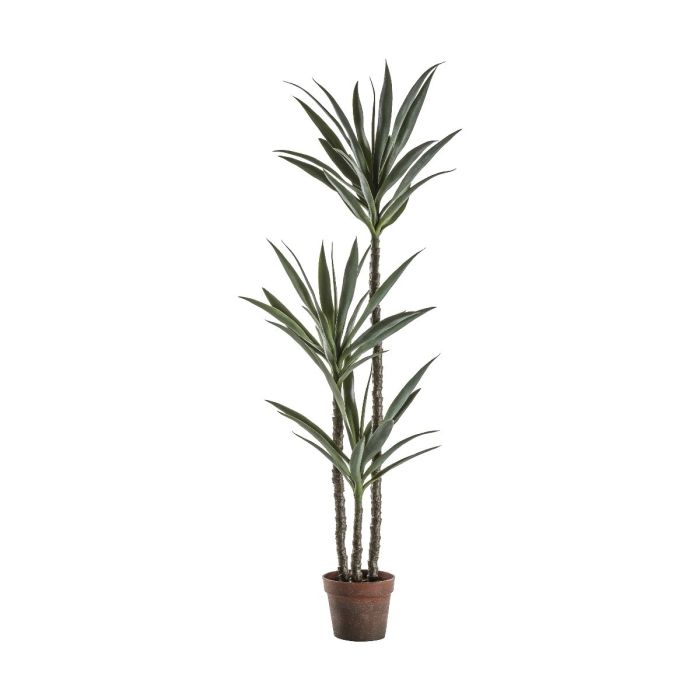 Pavilion Chic Artificial Yucca Tree in Pot H.150cm 1