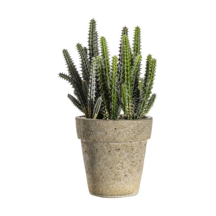Pavilion Chic Artificial Cactus Cereus in Cement Pot H.27cm 1