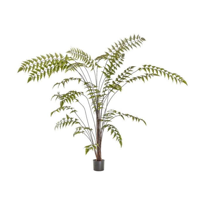 Pavilion Chic Artificial Butterfly Fern in Pot H.180cm 1