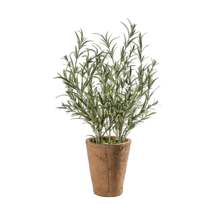 Faux Olive Plant in Clay Pot H.48cm 1