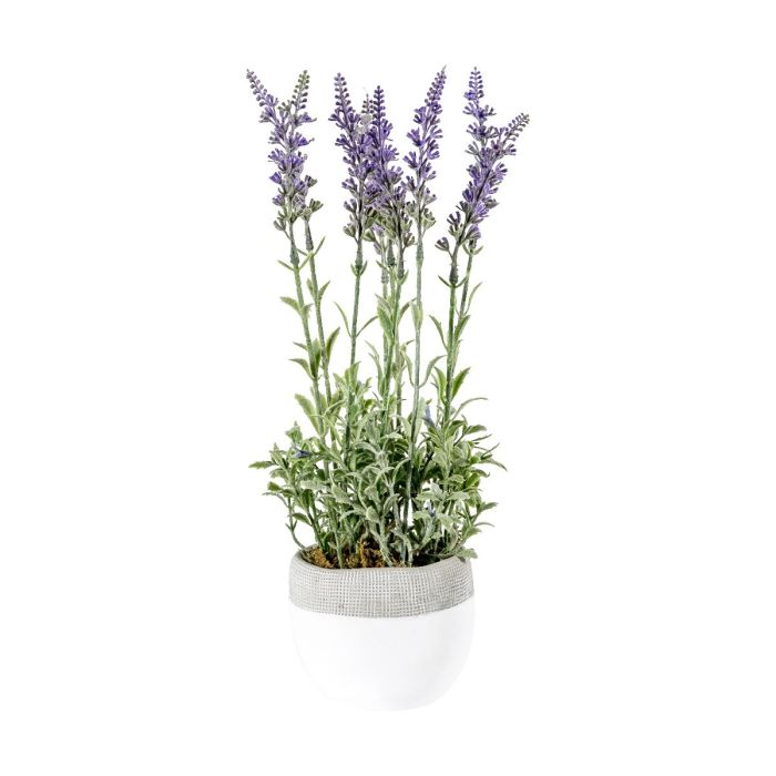 Pavilion Chic Artificial Lavender Lilac in White Pot H.26cm 1