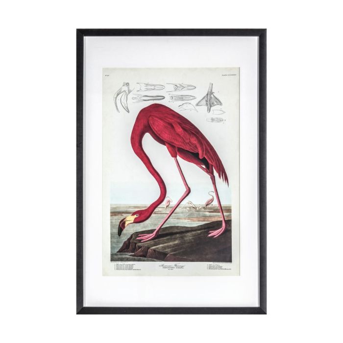 Pavilion Chic Flamingo Study Framed Art 1