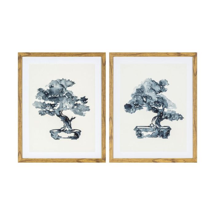 Framed Bonsai Watercolour Studies Set of 2 1