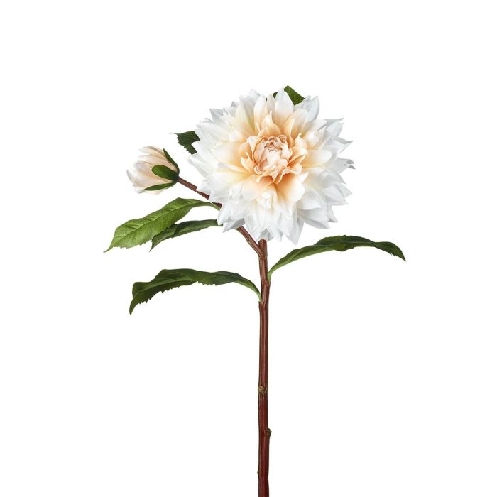 Parlane Artificial Dahlia Stem White/Peach 76cm 1