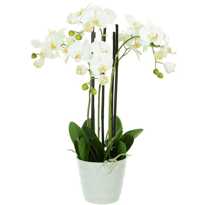 Pavilion Flowers Artificial Phalaenopsis In Plastic Pot White Height 61cm 1