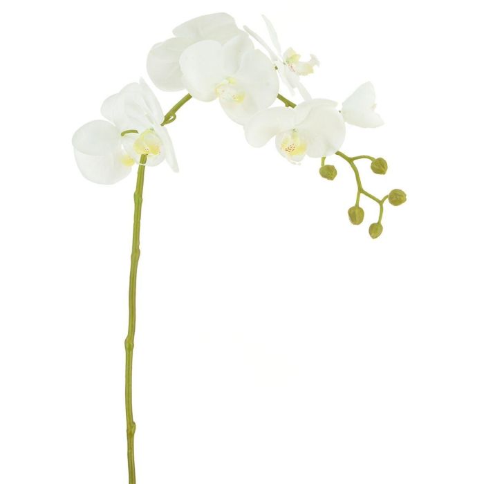 Pavilion Flowers Artificial Phalaenopsis Orchid Height 78cm 1