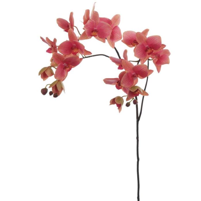 Pavilion Flowers Artificial Phalaenopsis Pink Height 88cm 1