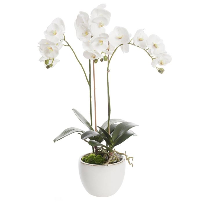 Pavilion Flowers Artificial Phalaenopsis Potted White Height 73cm 1