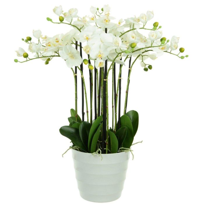 Pavilion Flowers Artificial Phalaenopsis x 12 in Plastic Pot White H.75cm 1