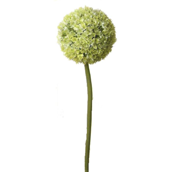 Pavilion Flowers Light Green Artificial Allium Height 54cm 1