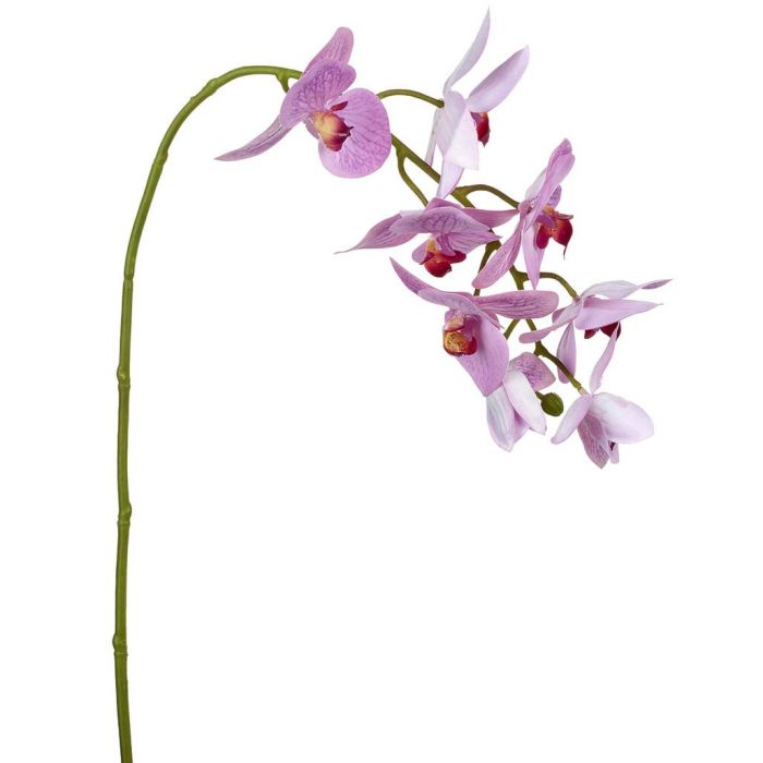 Parlane Orchid Phalaenopsis Real Touch Pink H.71cm 1