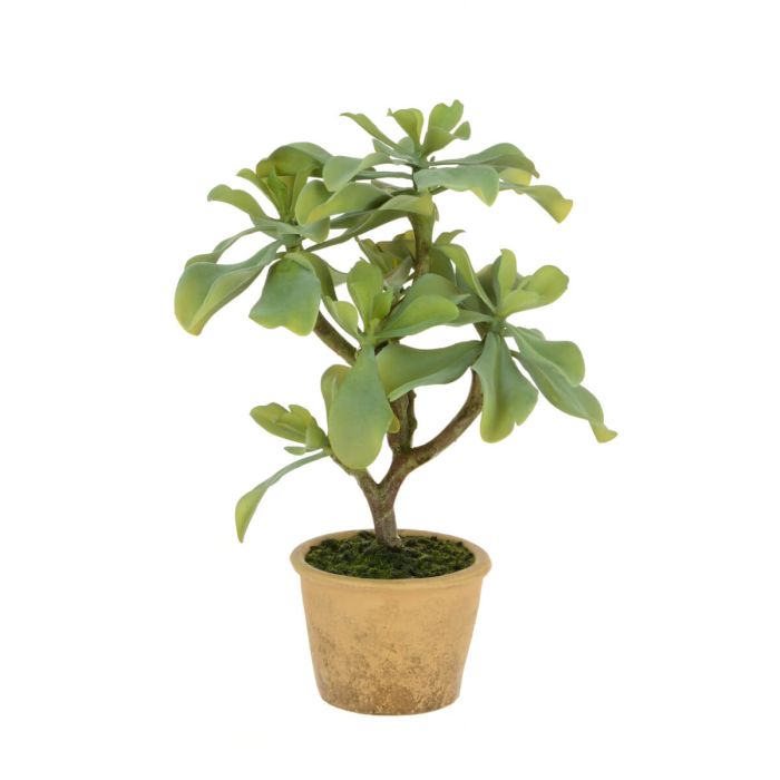 Artificial Succulent Tree in Pot Green H42cm 1