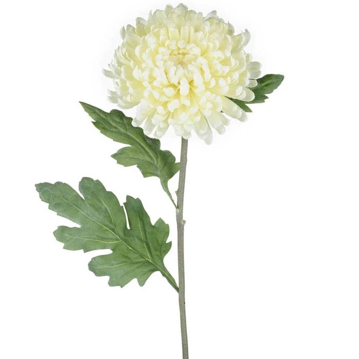 Parlane Chrysanthemum Stem White H.70cm 1