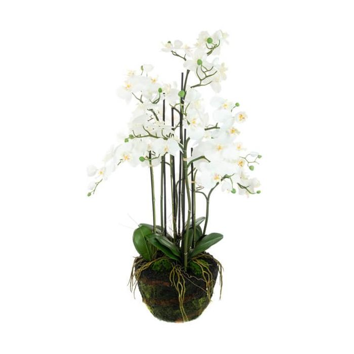Pavilion Flowers Artificial Phalaenopsis Orchid x 8 in Soil H110cm 1