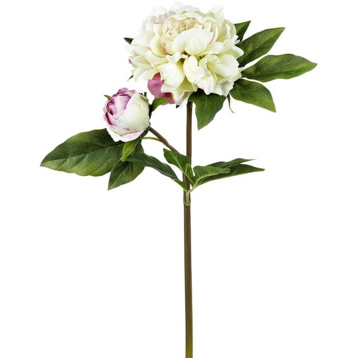 Parlane Peony Real Touch Cream H.56cm 1