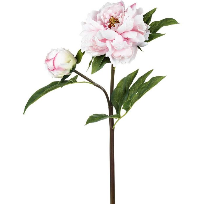 Parlane Peony Real Touch Pink H.56cm 1