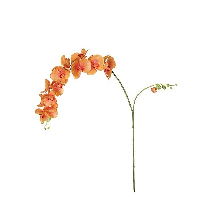 SIA Phalaenopsis Orchid Stem Orange Height 173cm 1