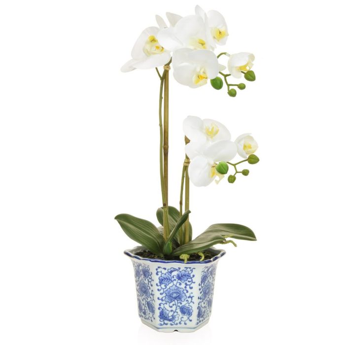 Pavilion Flowers Artificial Phalaenopsis White In Blue/White China Pot Height 47cm 1