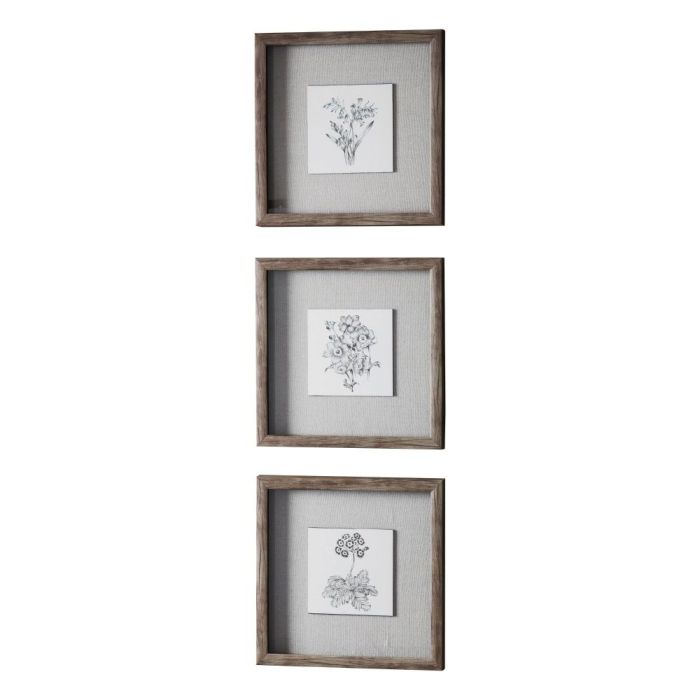 Set of 3 Floral Sketches Framed 1