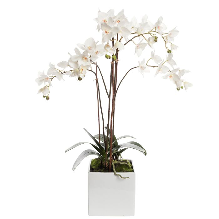 Pavilion Flowers White Artificial Phalaenopsis Cube With Moss Height 82cm 1