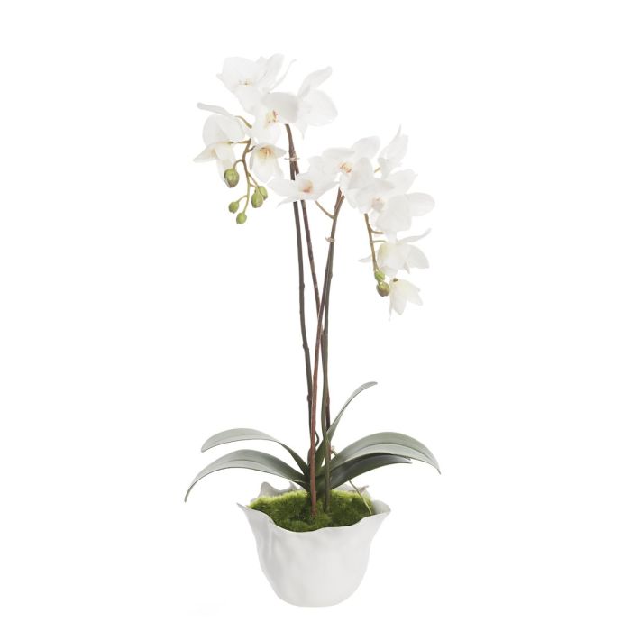 Pavilion Flowers Artificial Phalaenopsis In Crinkle Pot White Height 62cm 1