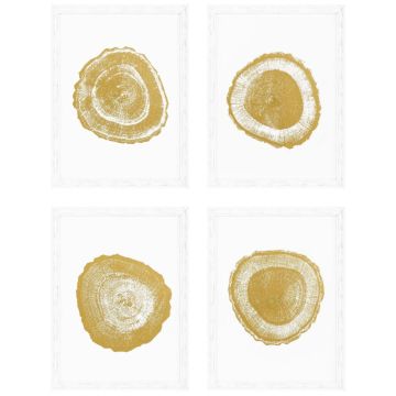 Gold Foil Tree Ring Prints Set of 4