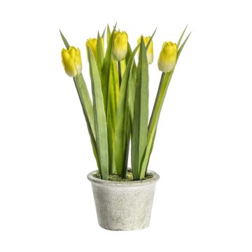 Potted Tulips Yellow H.30cm