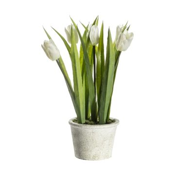 Potted Tulips White H.30cm