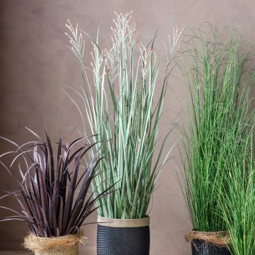 Potted Grass Green/Russet H.155cm