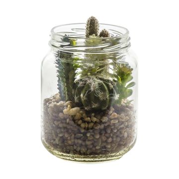 Succulent Garden In Glass Jar H.19cm